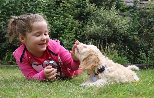 Bring Your Best Friend Along Too!