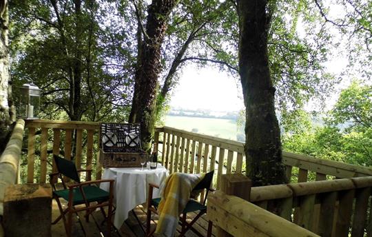 Secret treetop viewing platform. Perfect proposal
