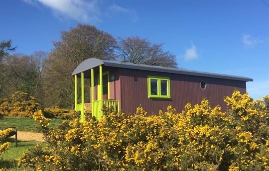 Ryegrass with a gorgeous view!