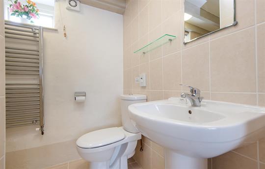 Grebe ensuite shower room