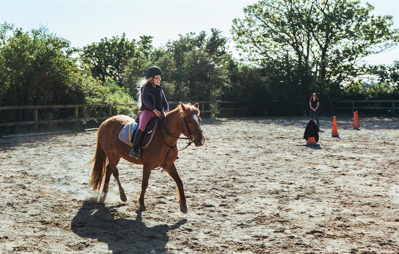 Riding lesson in the sand school