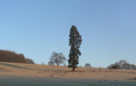 Luxury Holiday Cottages in Peak District, Derbyshire, Cheshire & Staffs