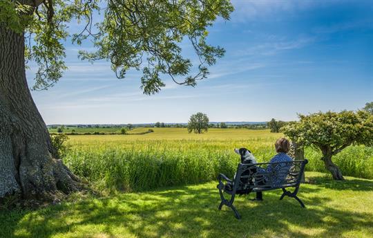 Dogs welcome at the Byre