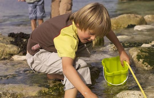 Flamborough rock pools