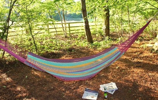 Hammocks in the woods