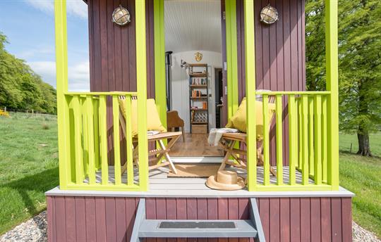 Ryegrass sunny terrace