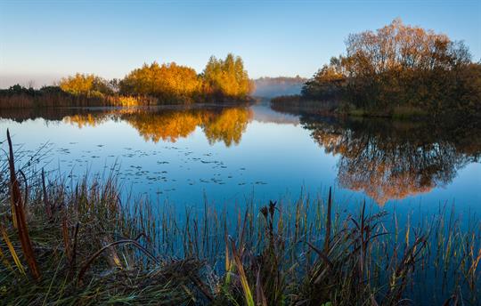 Megs Lake, Beacon Hill
