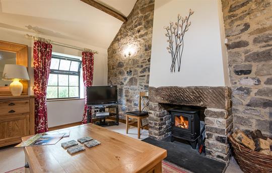 Cosy Log Burning Stove