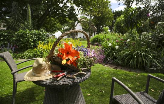 The beautiful organic cottage and coastal gardens