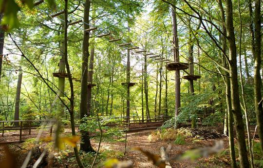 Go-Ape - 3 miles away