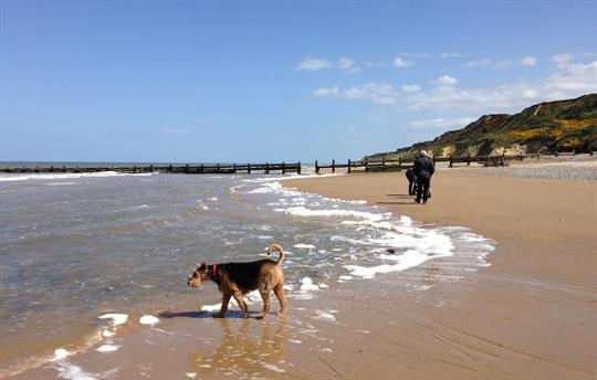 Cromer Beach