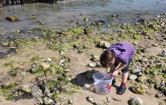 Crabbing at West Runton