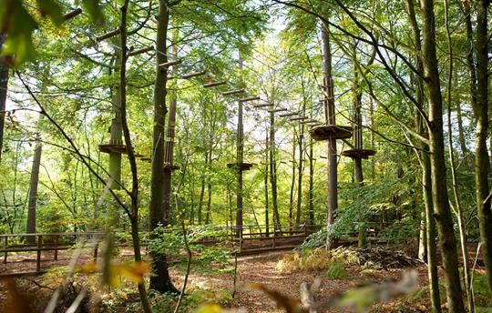 Go-Ape thrills only 3 miles from your door