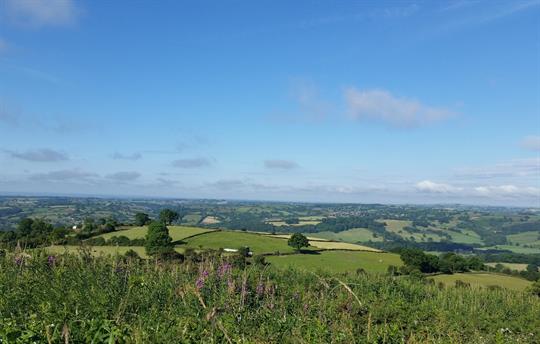 Alport view towards Kirk Ireton