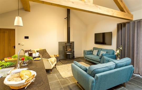 Cosy upto the log burning stove