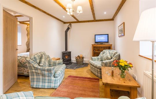 Living room with log burner