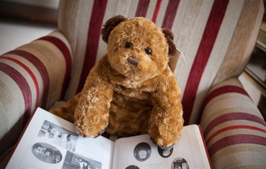 Wheel Room Huggie Bear