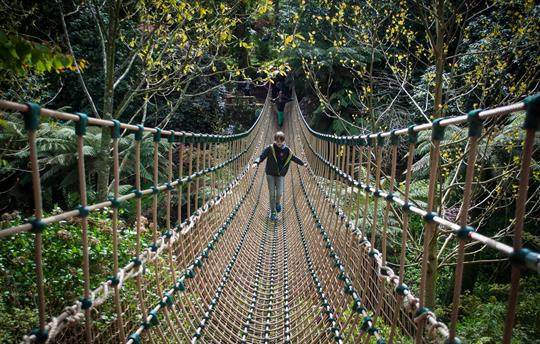 Heligan rope bride