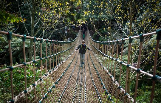 Heligan rope bride