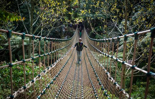Heligan rope bride