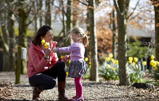 Playing in the Trees
