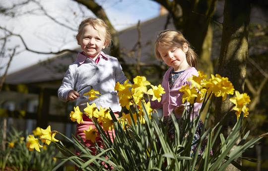 Kids in Daffodils