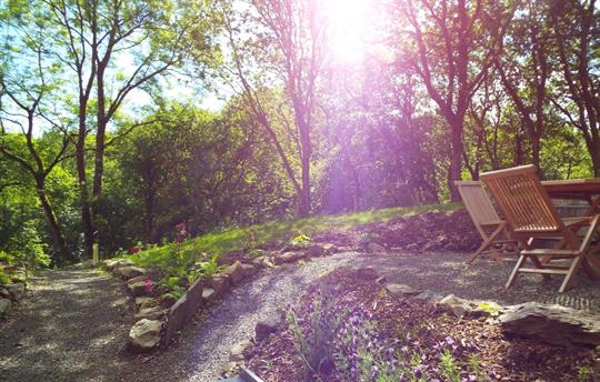 Peaceful surroundings