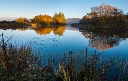 Megs Lake, Beacon Hill