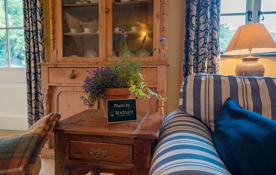 Tyddyn Derwen Living Room