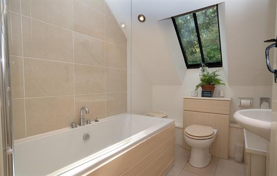 Tyddyn Derwen Bathroom 