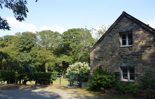 Tyddyn Derwen Garden