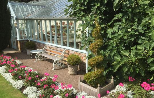 Furnished glasshouse for guests