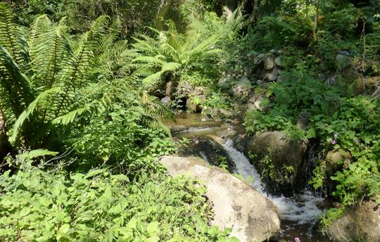 Wooded valley to St.Loy