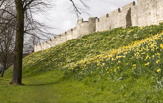 York city walls